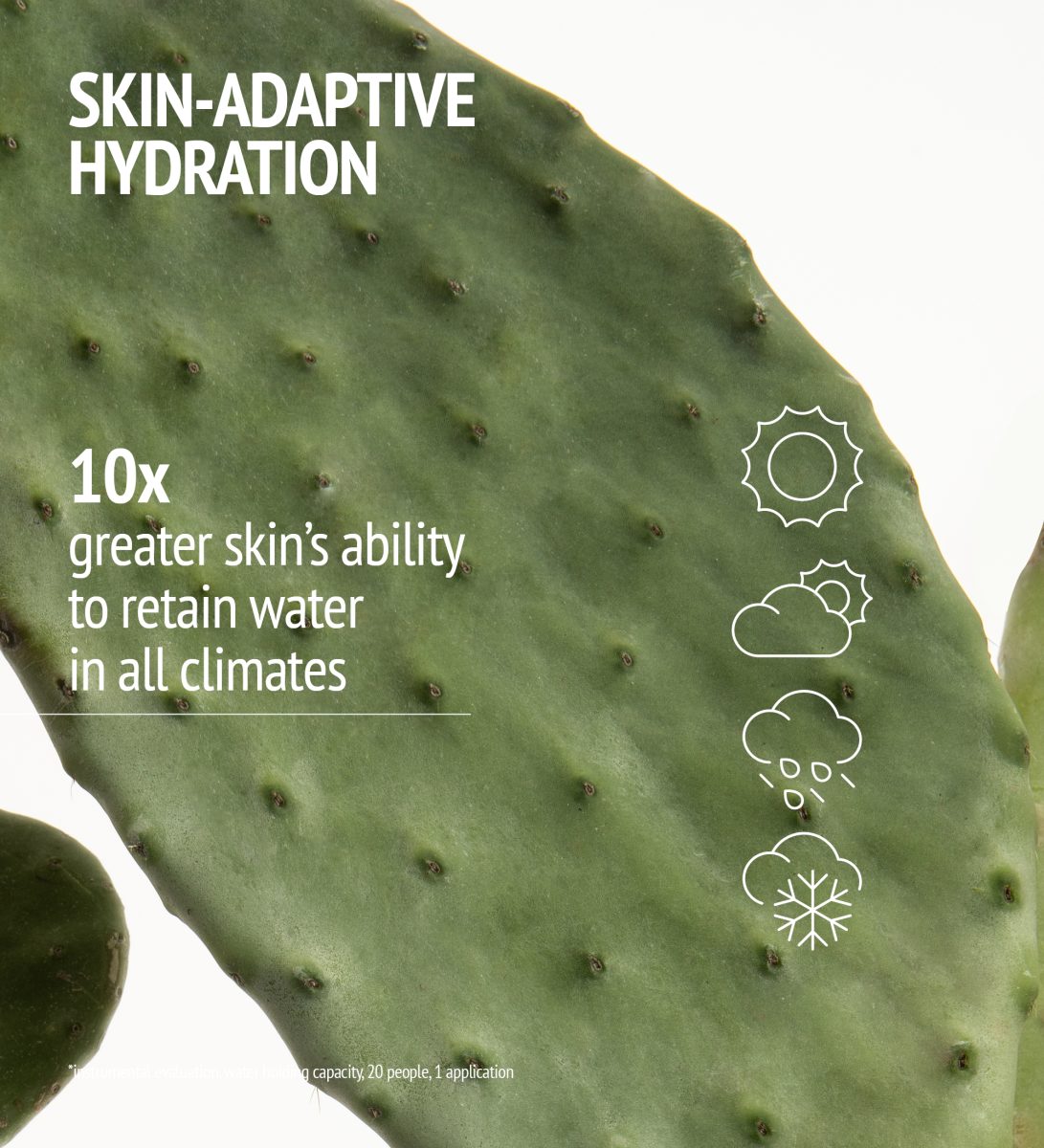 HYDRAMEMORY RICH SORBET CREAM REFILL