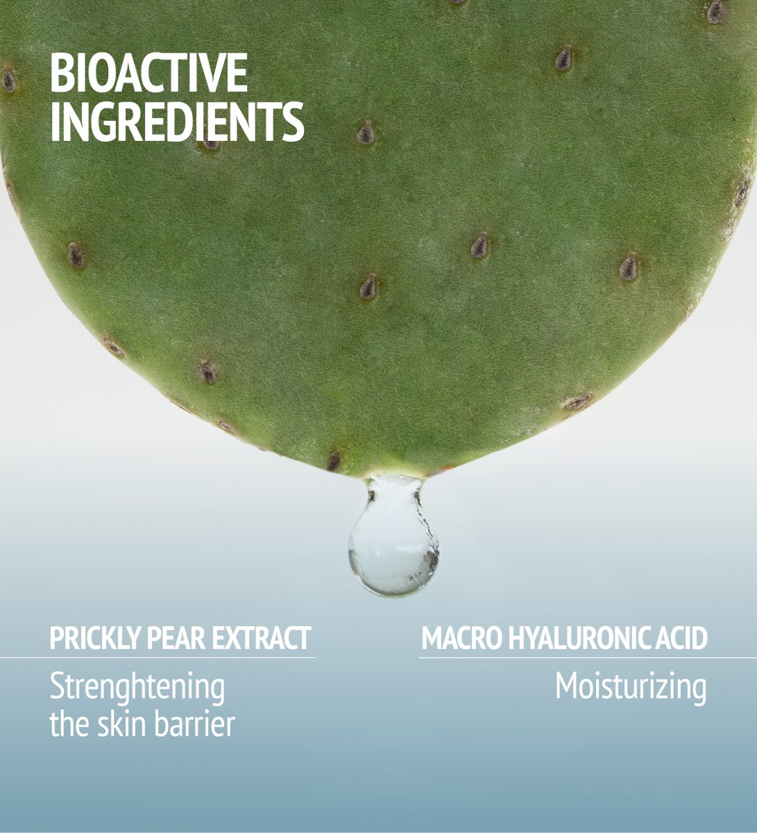 HYDRAMEMORY RICH SORBET CREAM REFILL